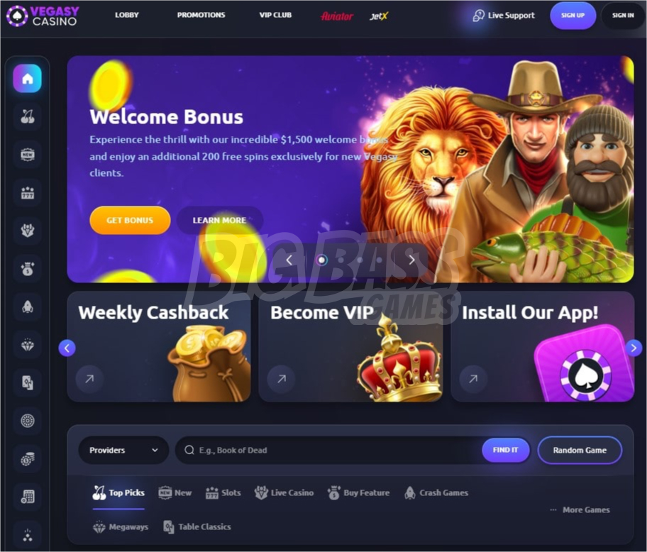 Official Vegasy Casino website