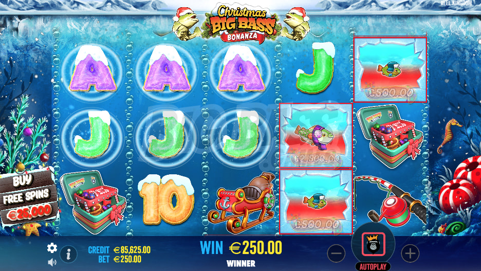 Different symbols in the Christmas Big Bass Bonanza Slot